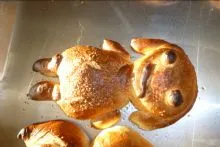 imgi_34_Small_pan-en-forma-de-perro