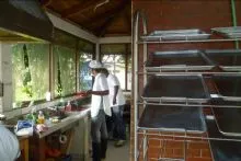 imgi_35_Small_latas-engrasada-en-el-escabiladero