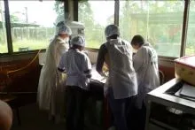 imgi_38_Small_ninos-aprendiendo-hacer-el-pan